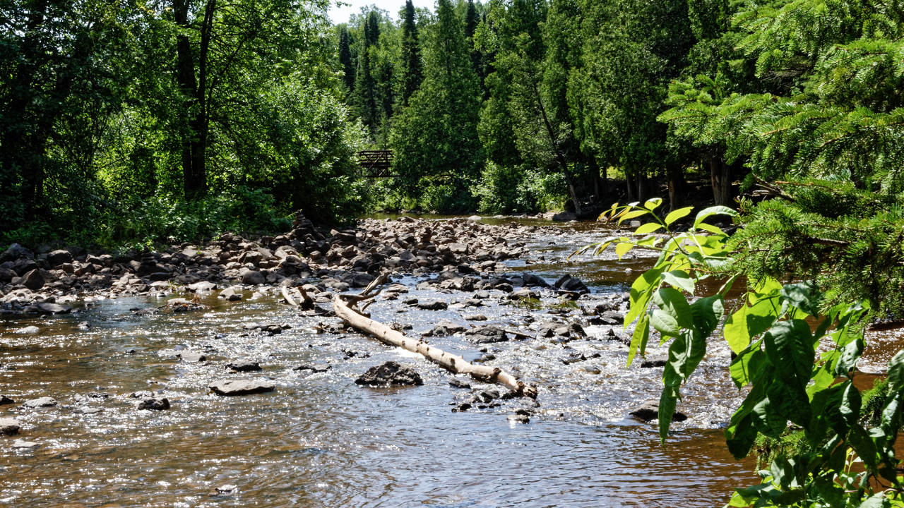 20190806-122634•Gooseberry Falls State Park•Two Harbors•Minnesota•USA
